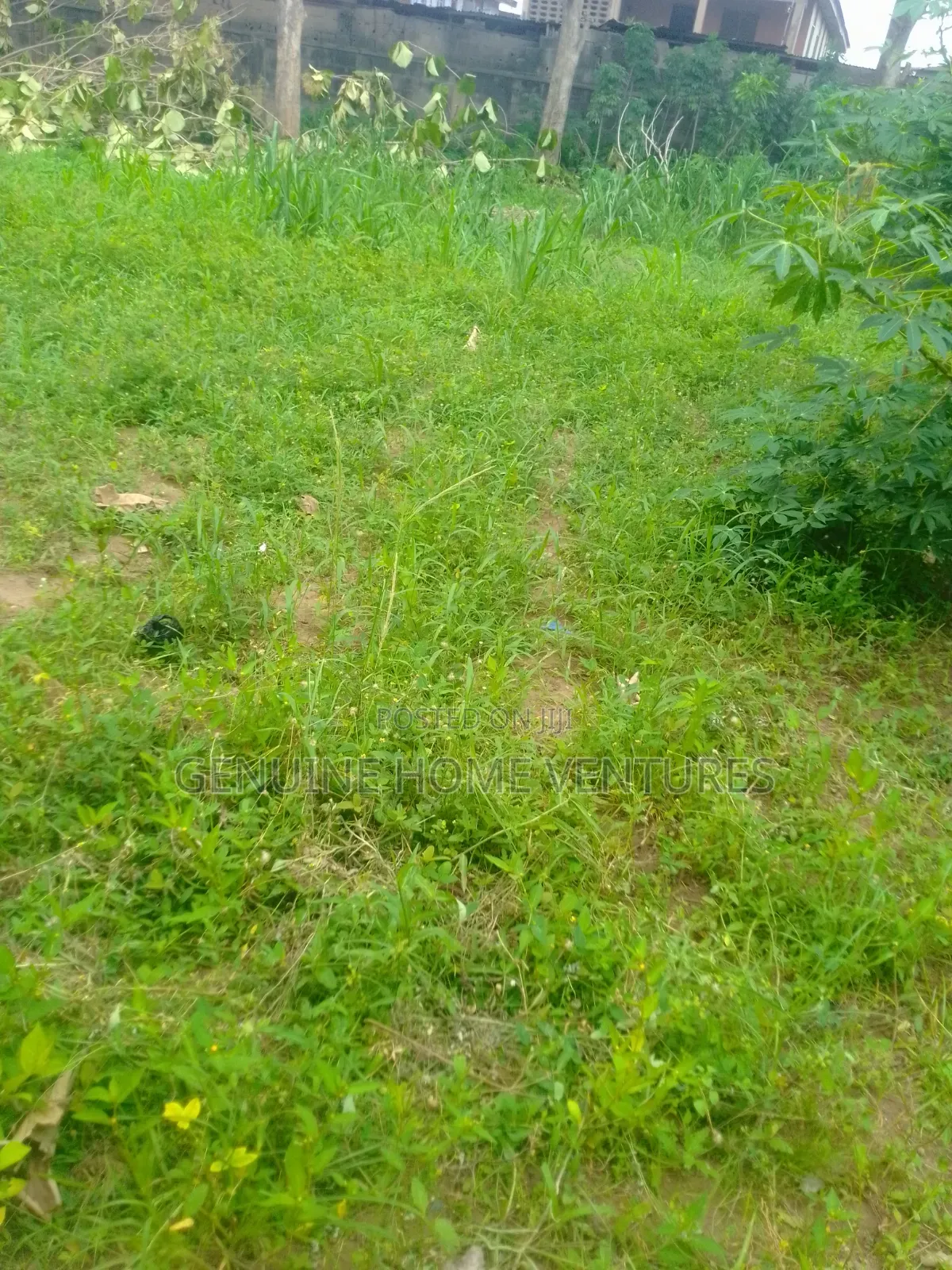 30 Acres of Land in Alagbole
