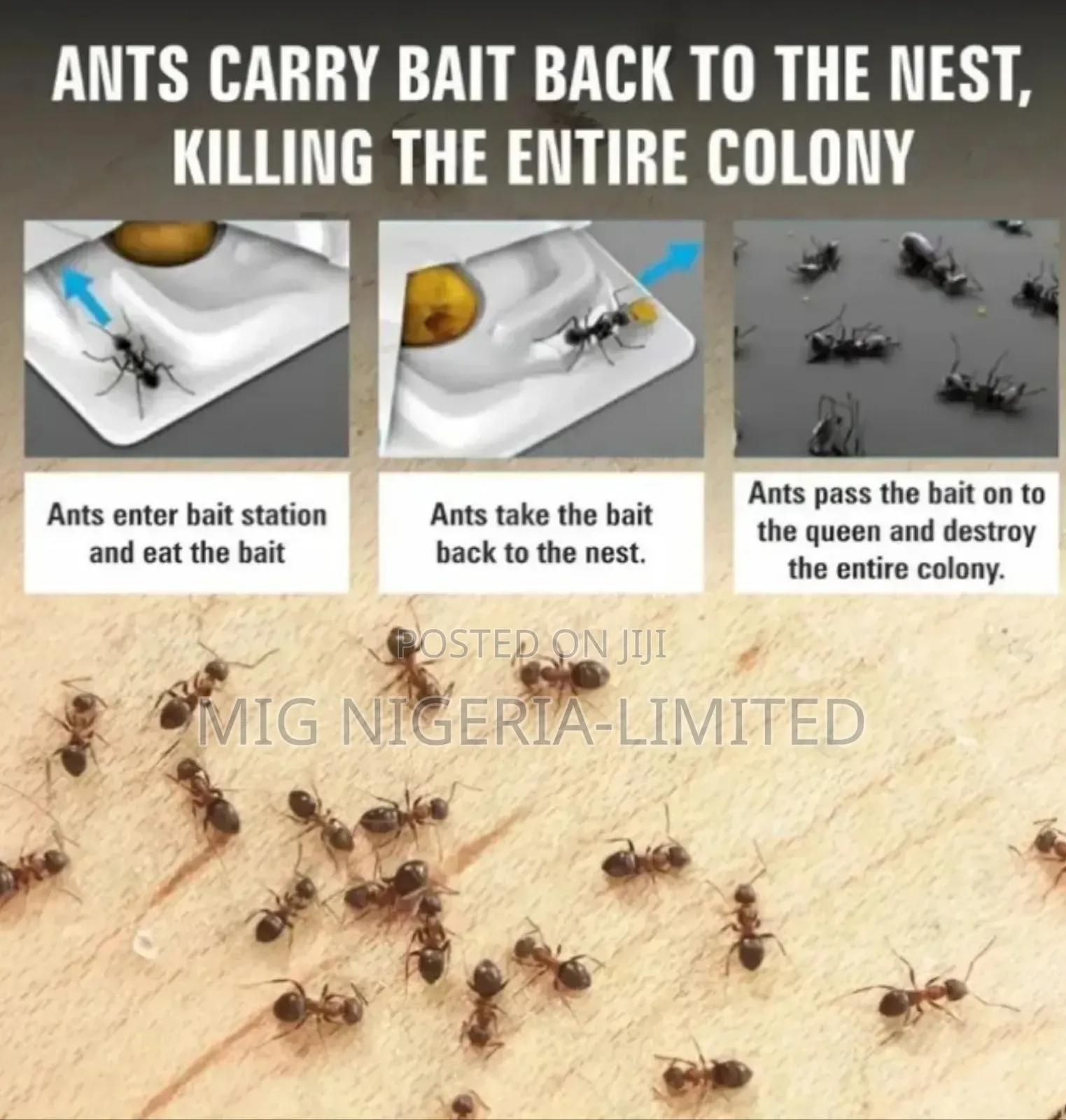 Kill Ant Gel Bait 30g