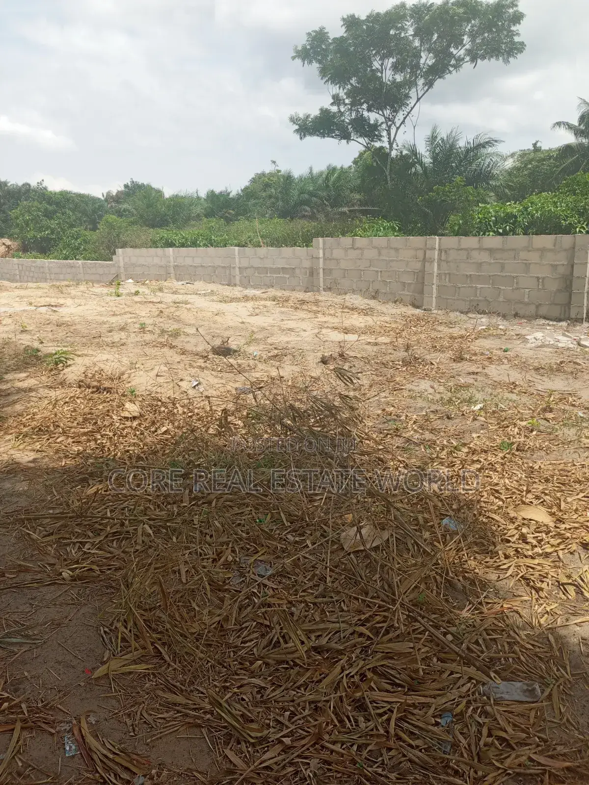 Genuine C of O Land in Bolorunpelu Town Lagos
