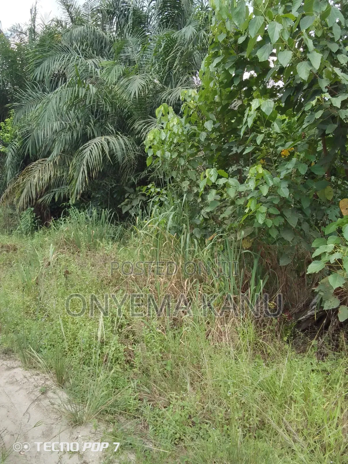 18 Plots Near Abia State Industrial Hub