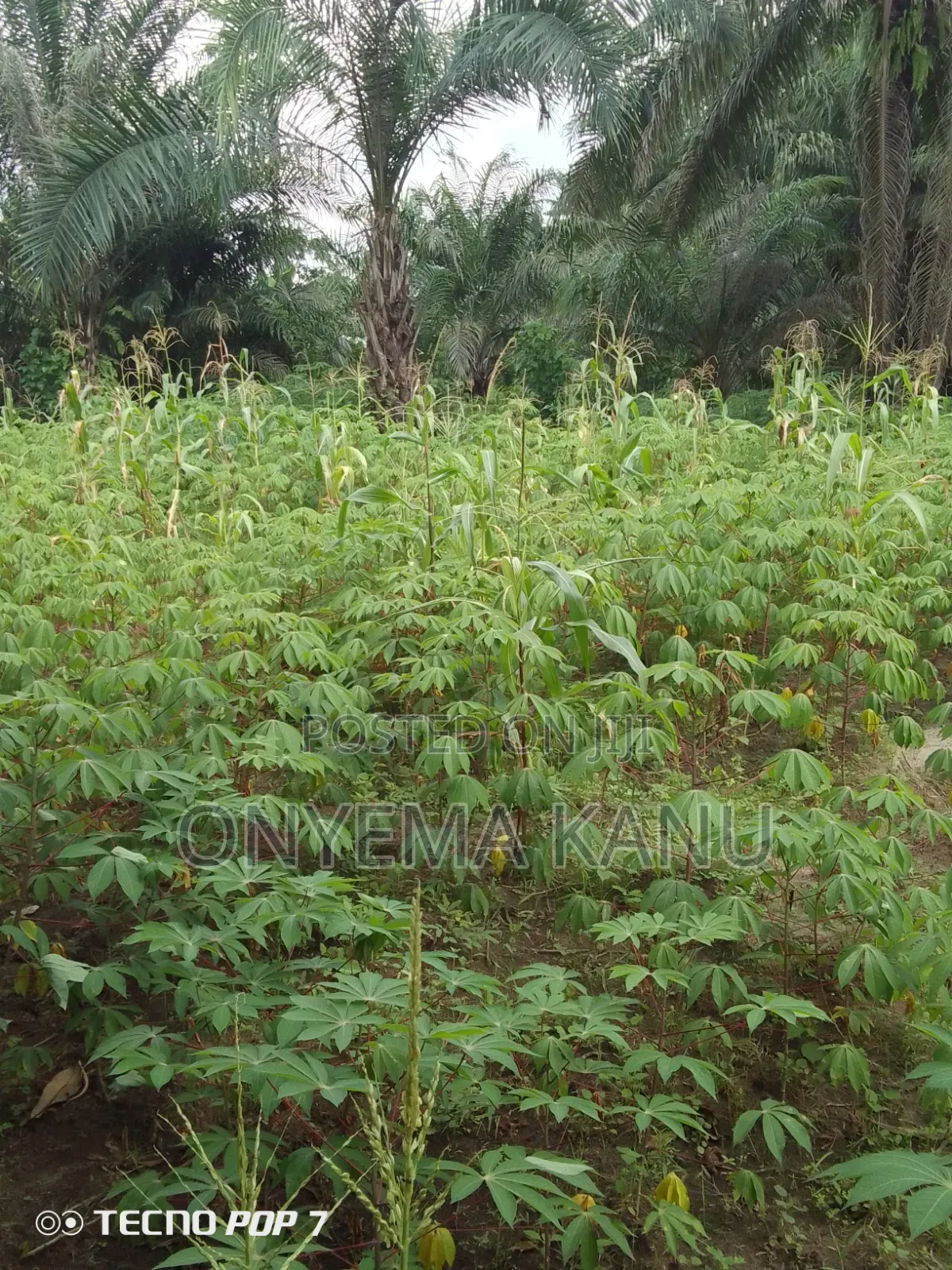 18 Plots Near Abia State Industrial Hub