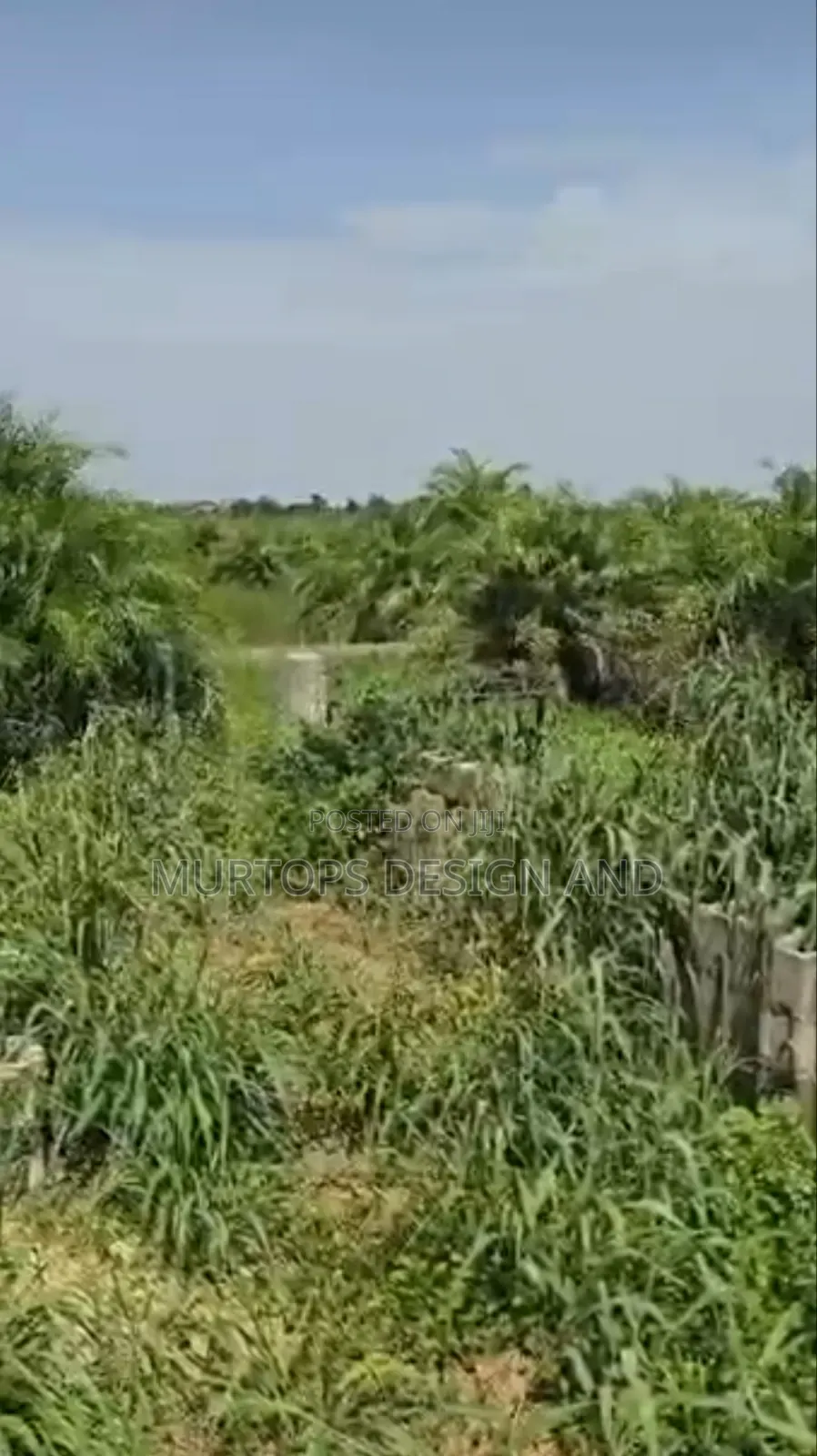 One and Half Acres (9 Plot of Land)At Majidun Facing Ikorodu Road