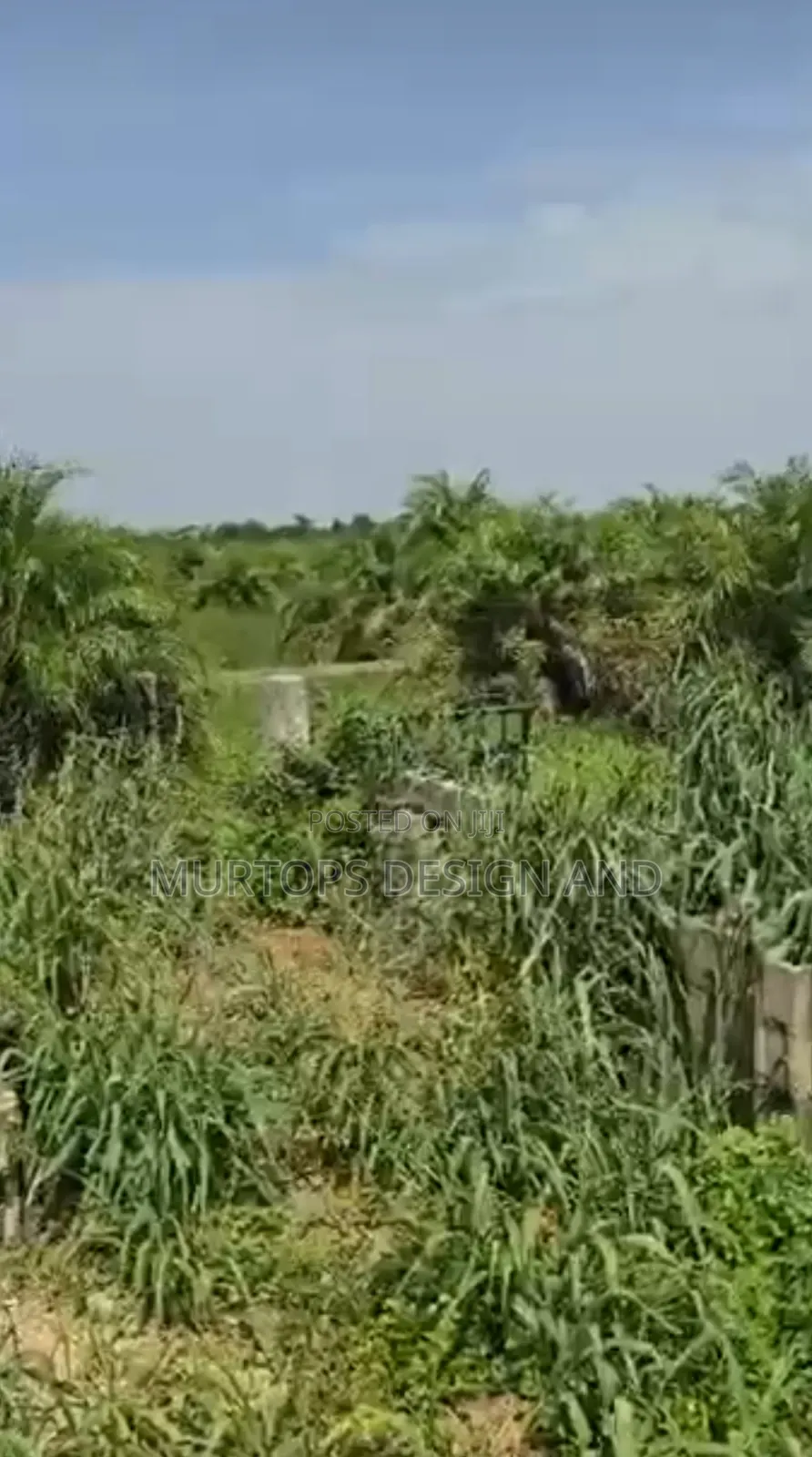 One and Half Acres (9 Plot of Land)At Majidun Facing Ikorodu Road