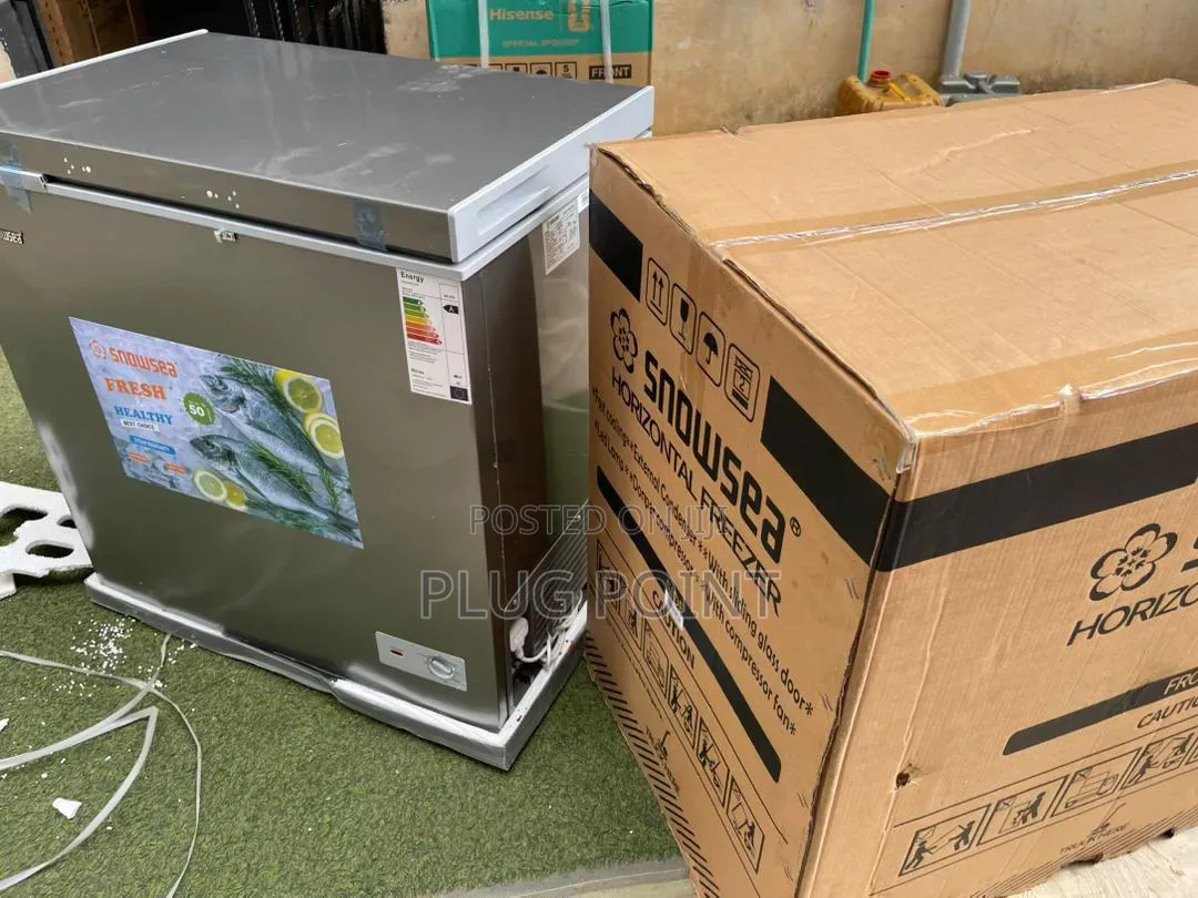 Snowsea 190l Deep Freezer Bd258 With Strong Compressor