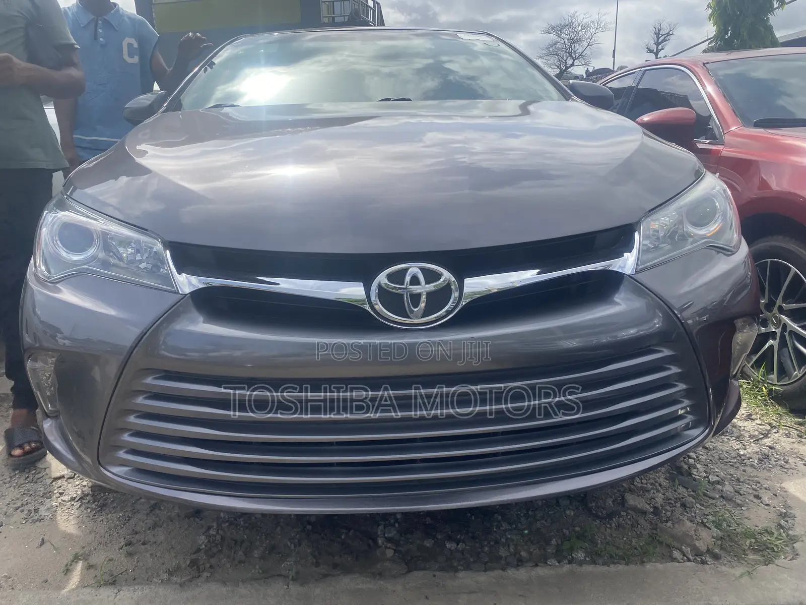 Toyota Camry XLE V6 4dr Sedan (3.6L 6cyl 6A) 2016 Gray
