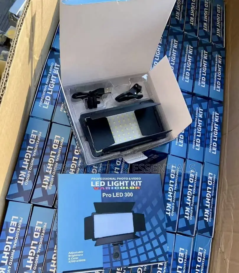 Professional Photo/Video Led Light 300
