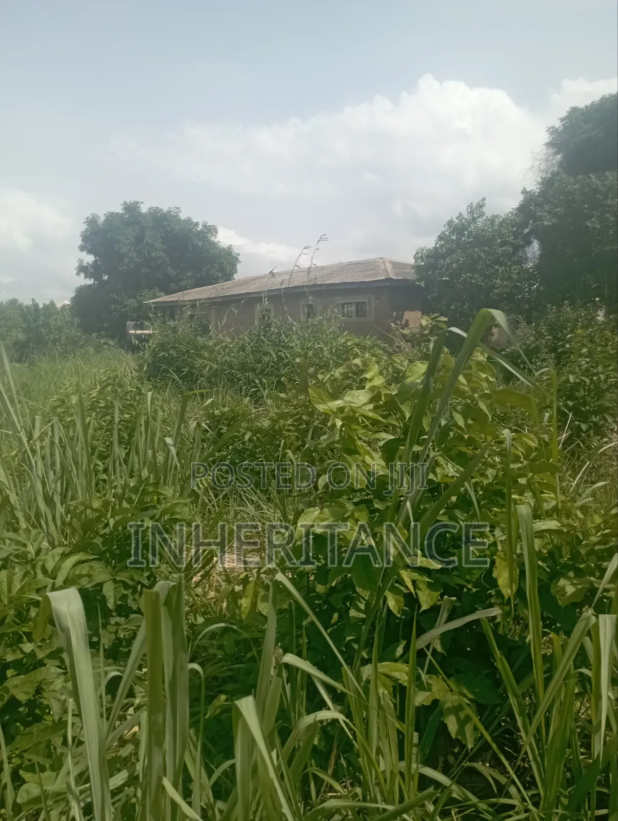 1plot of Land