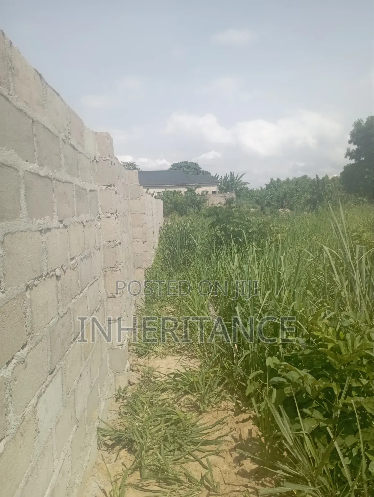 1plot of Land