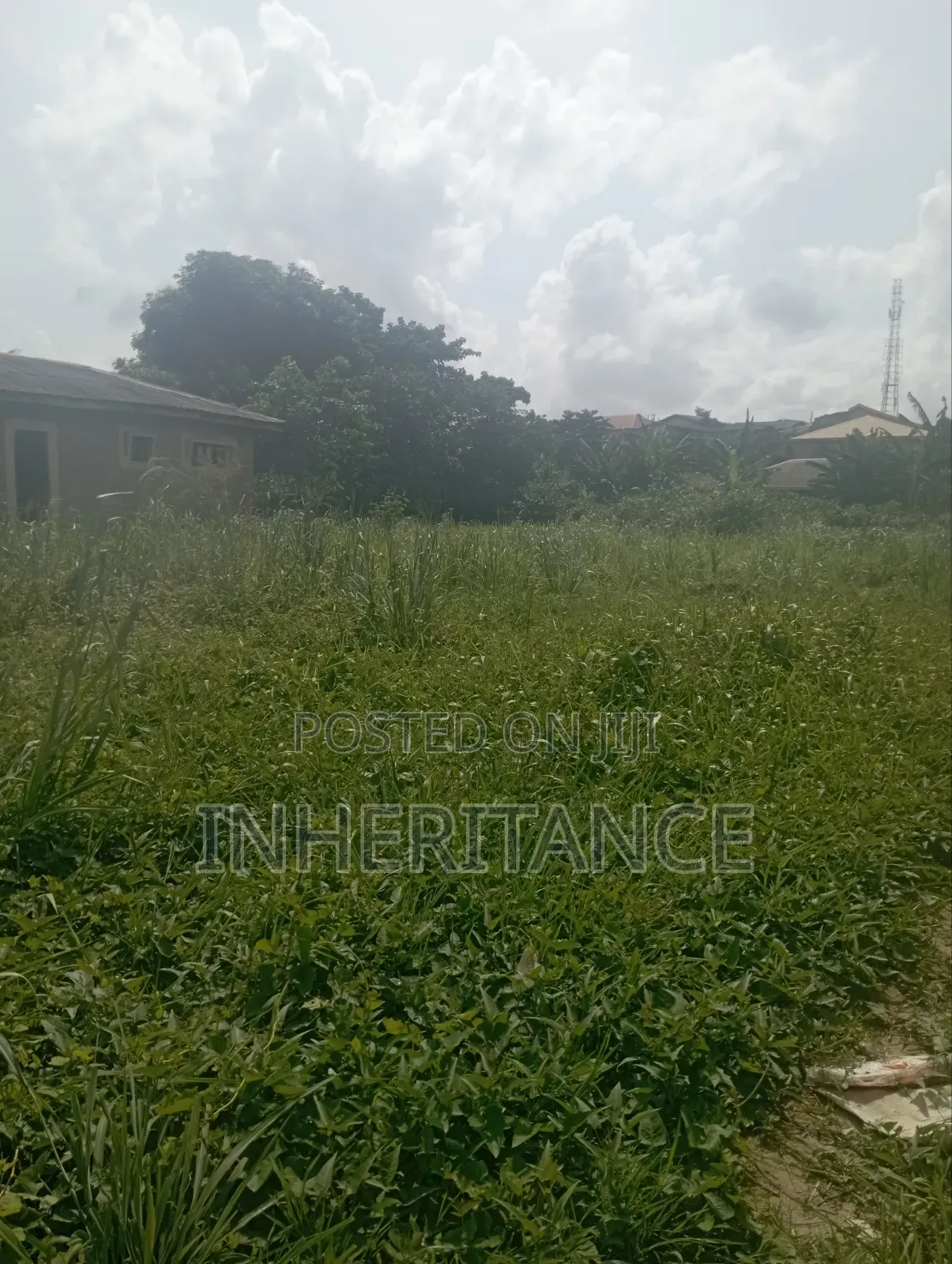 1plot of Land