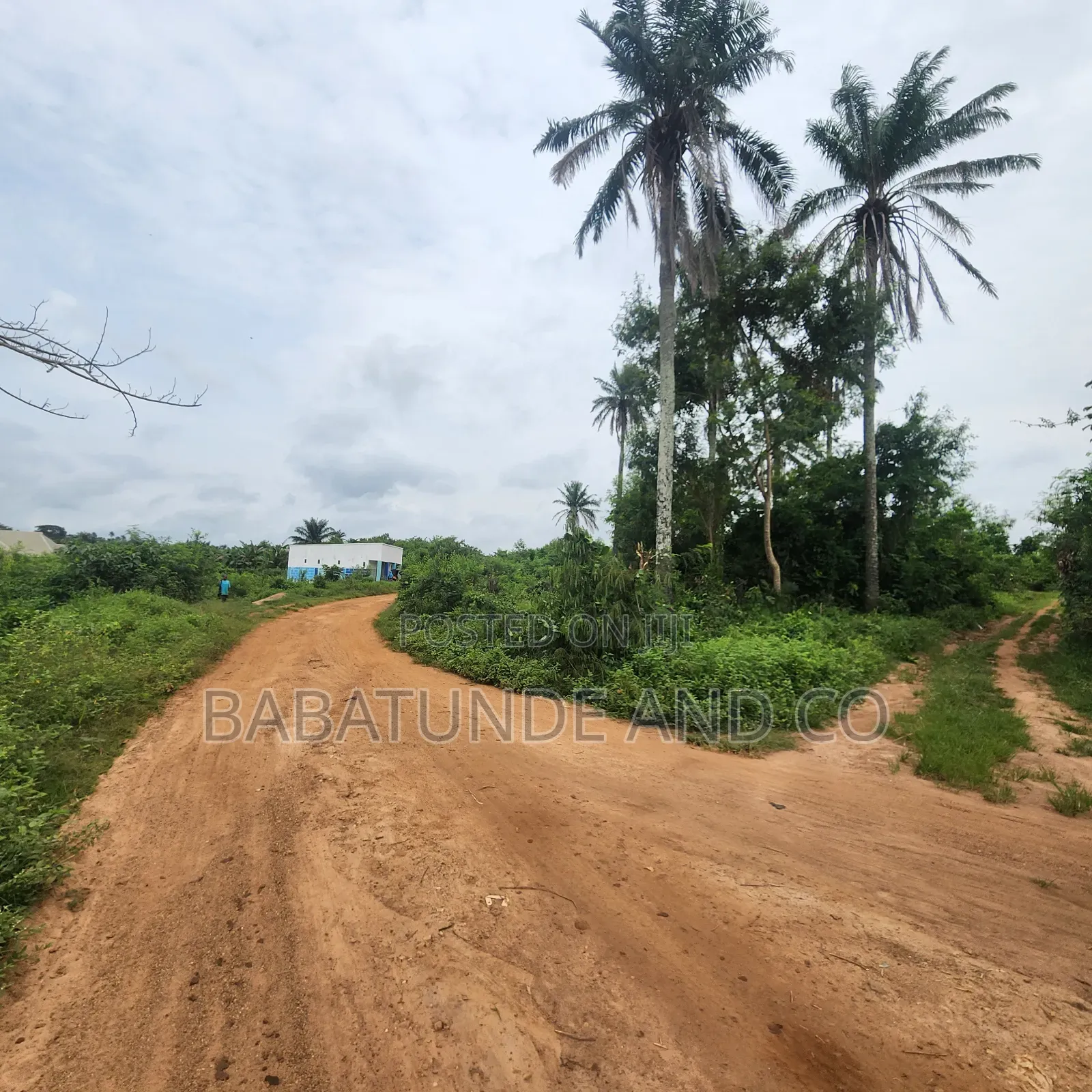 A Plot of Land Behind Alabata Primary School, Alabata Moniya Ibadan