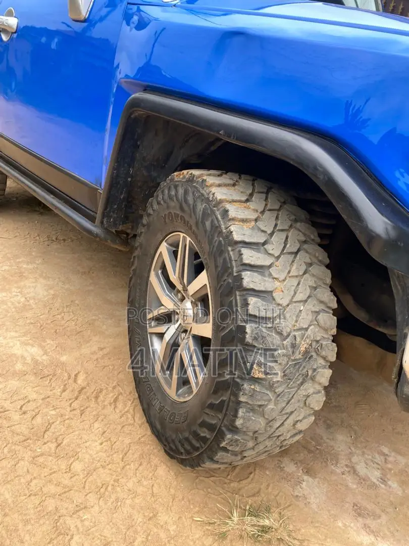 Toyota FJ Cruiser 2010 Blue