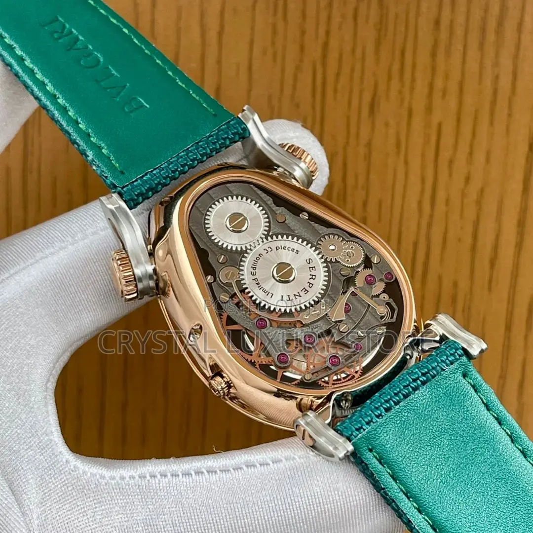 New Serpenti Quality Luxury Men Automatic Engine Wristwatch