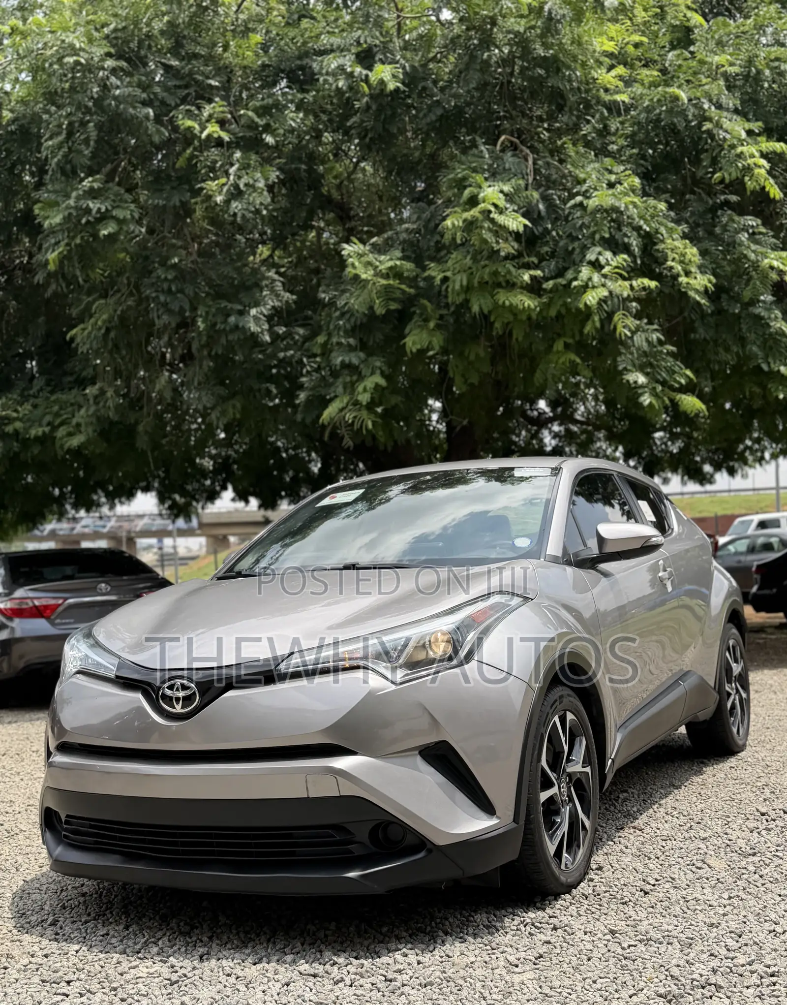 Toyota C-HR XLE FWD 2019 Gray