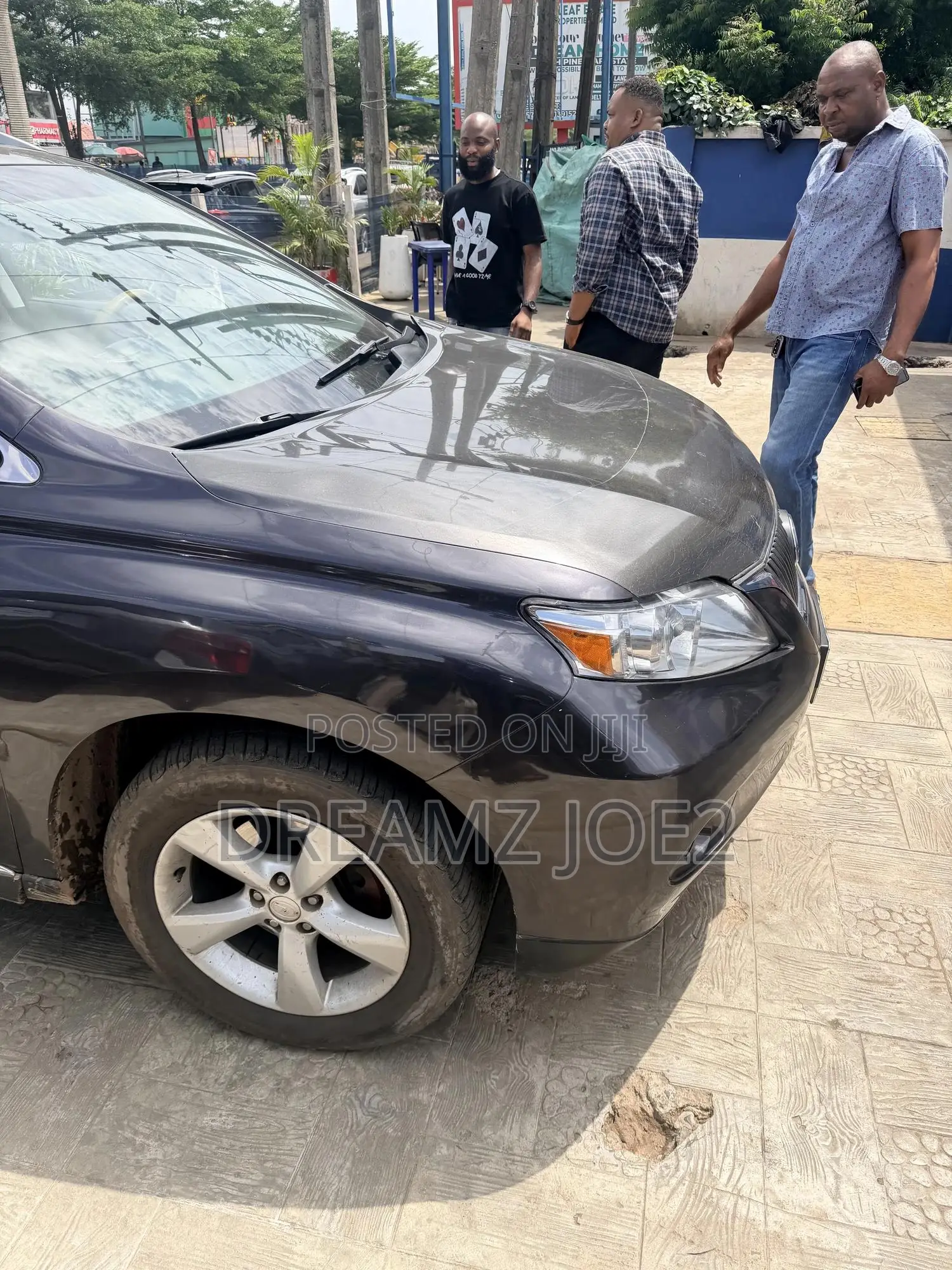 Lexus RX 350 2010 Gray