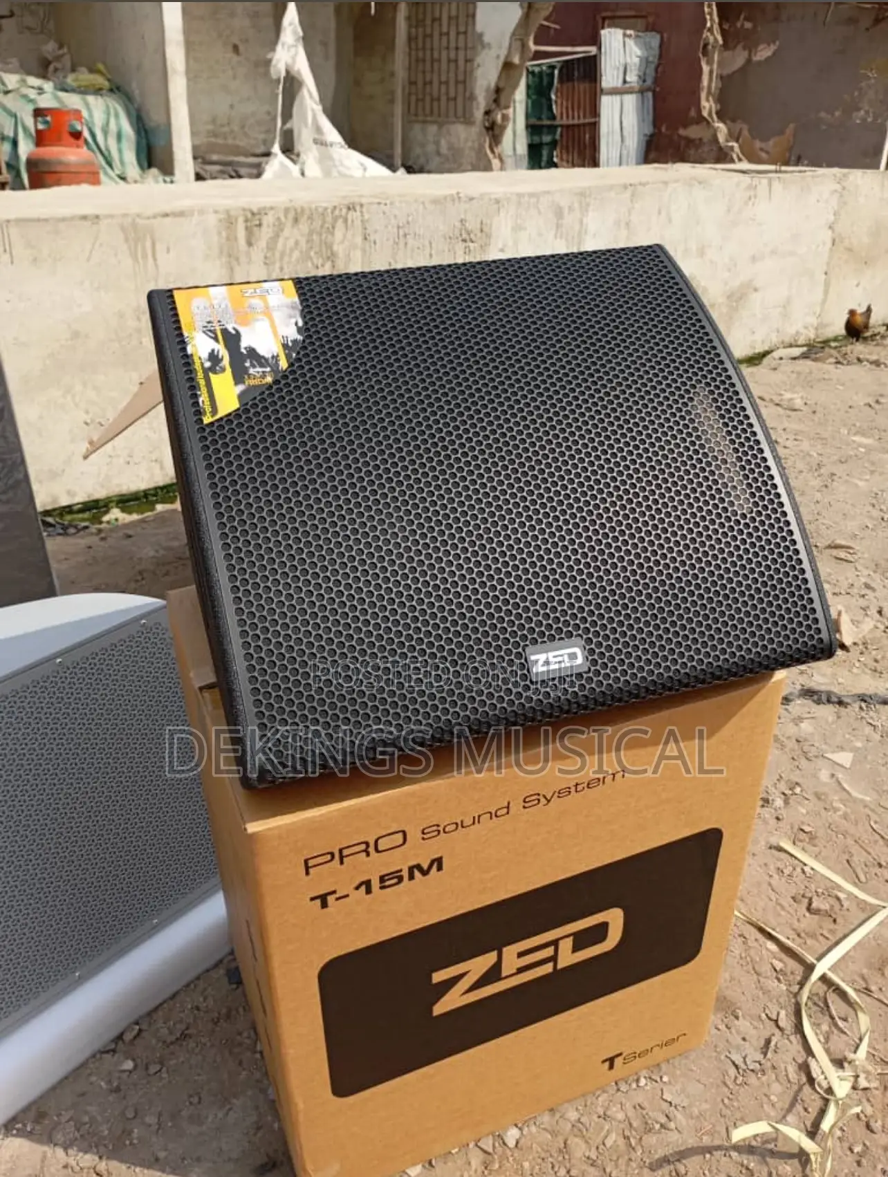 Zed Floor Monitor