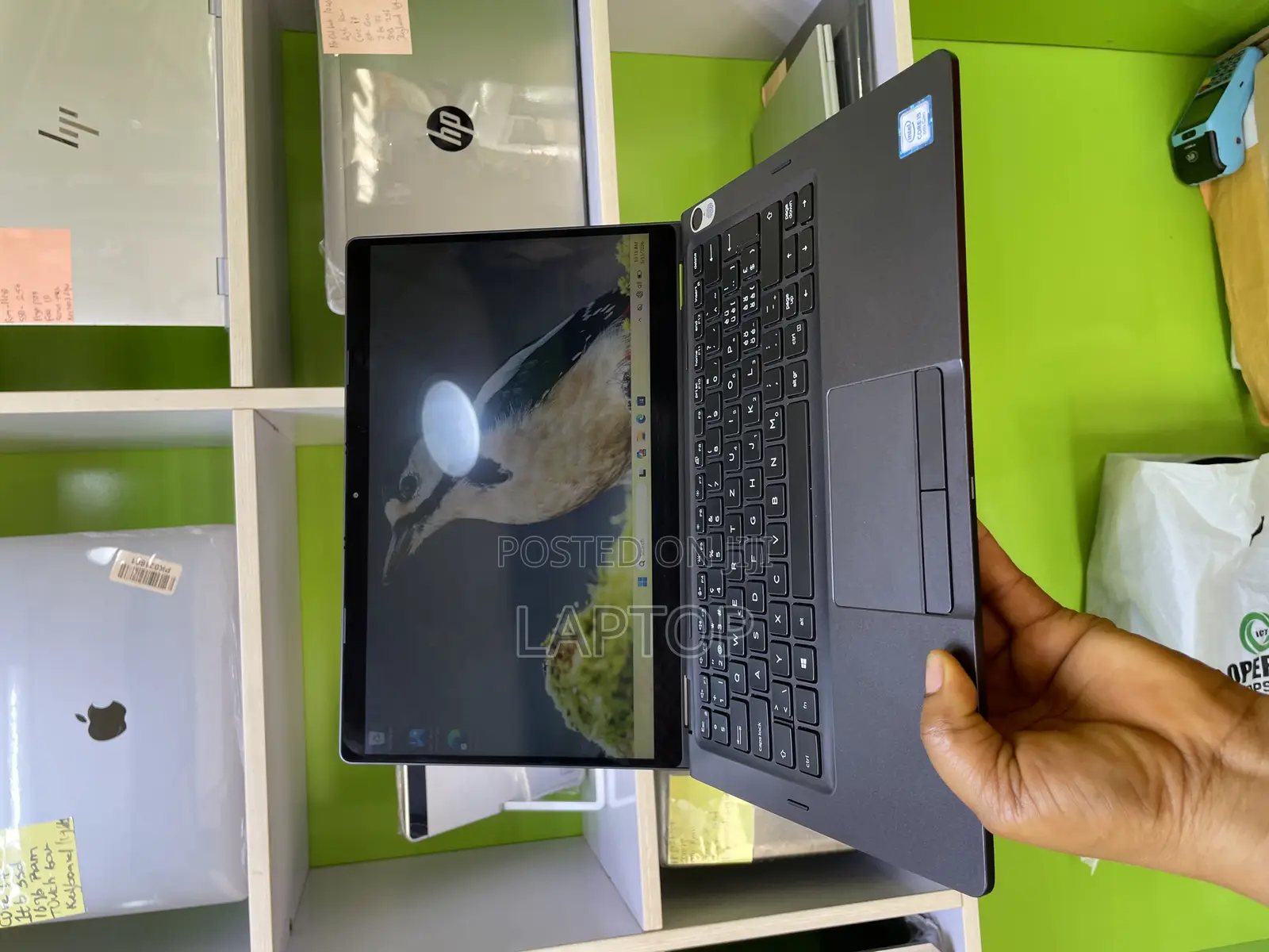 Laptop Dell Latitude 5300 16GB Intel Core i5 SSD 256GB