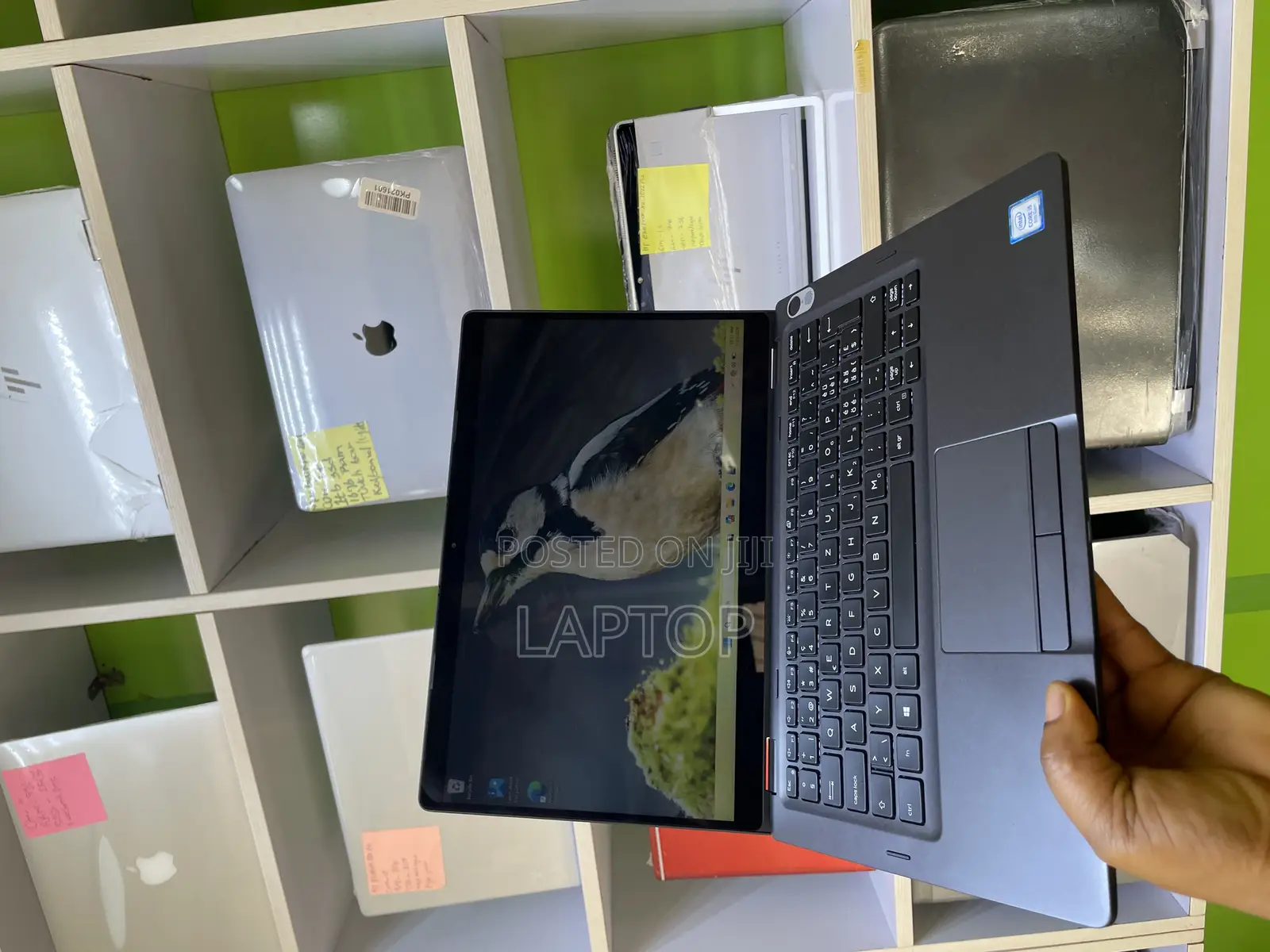 Laptop Dell Latitude 5300 16GB Intel Core i5 SSD 256GB