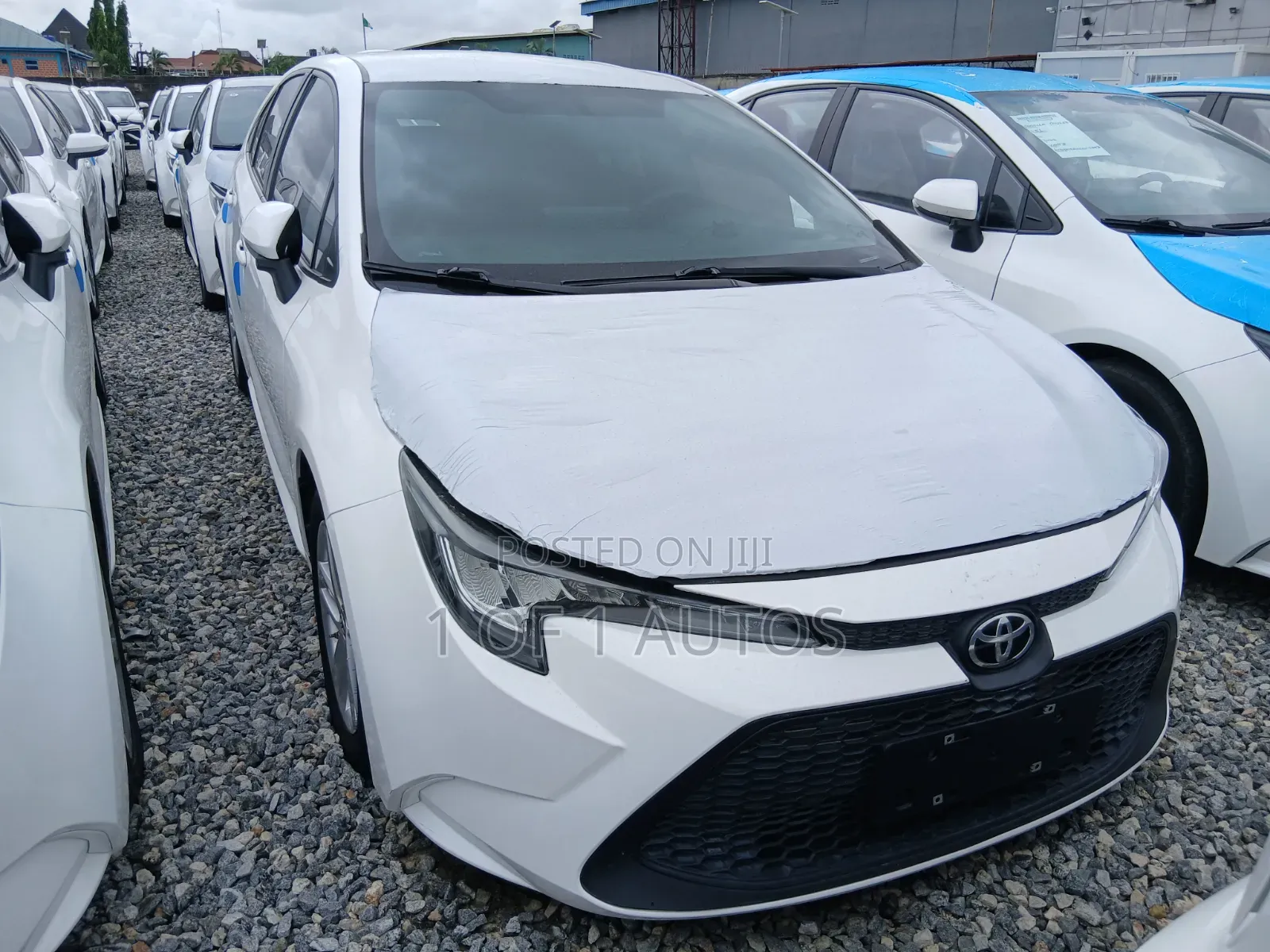 Toyota Corolla LE 2022 White