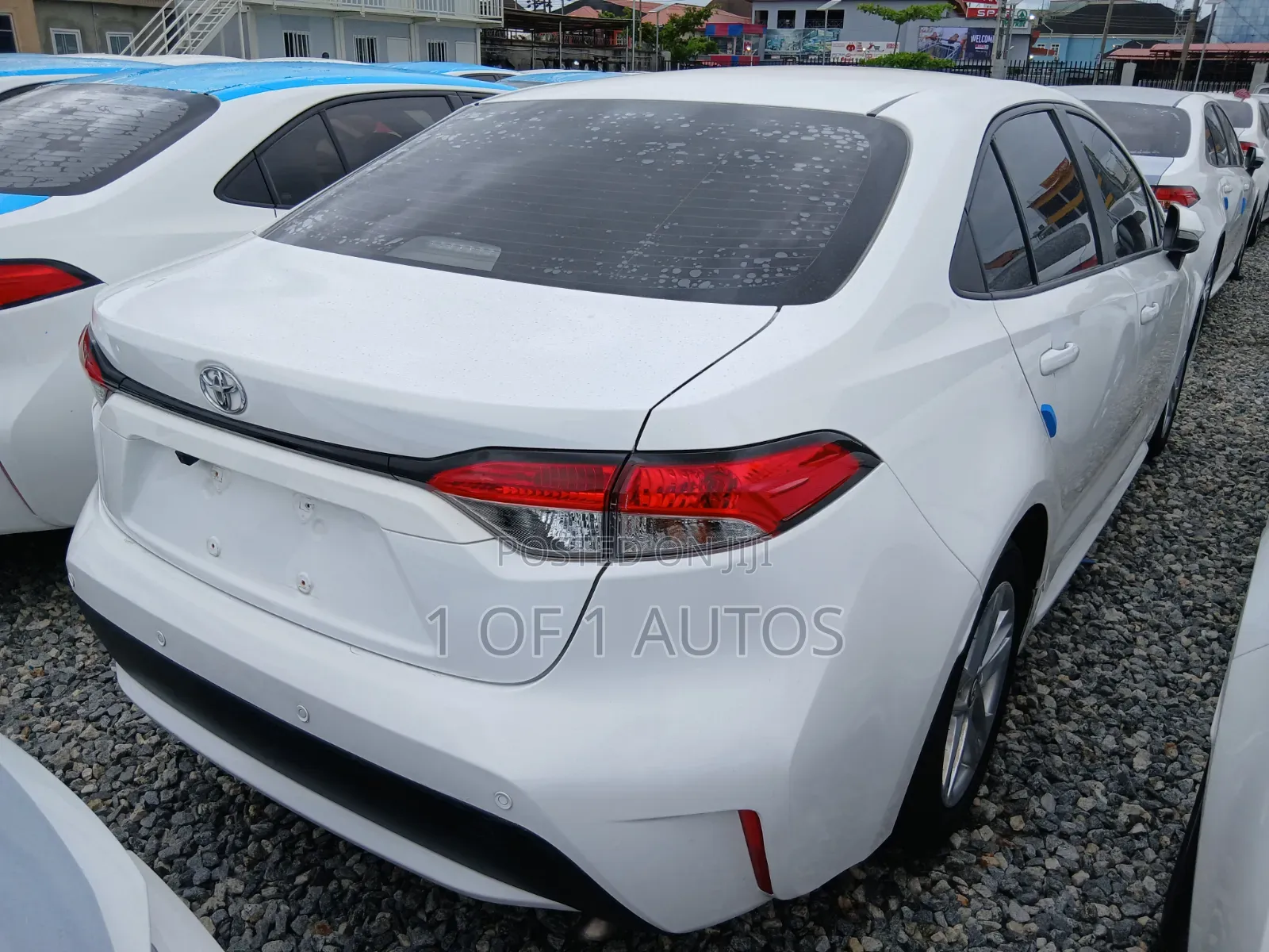 Toyota Corolla LE 2022 White