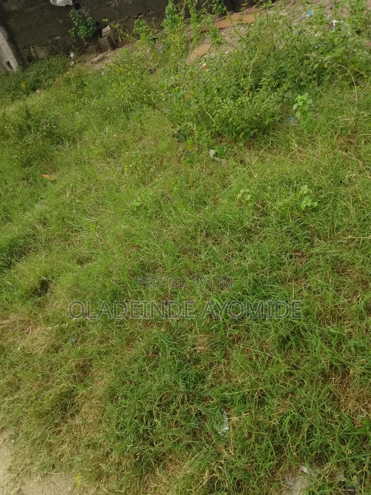 1plot of Dry Land