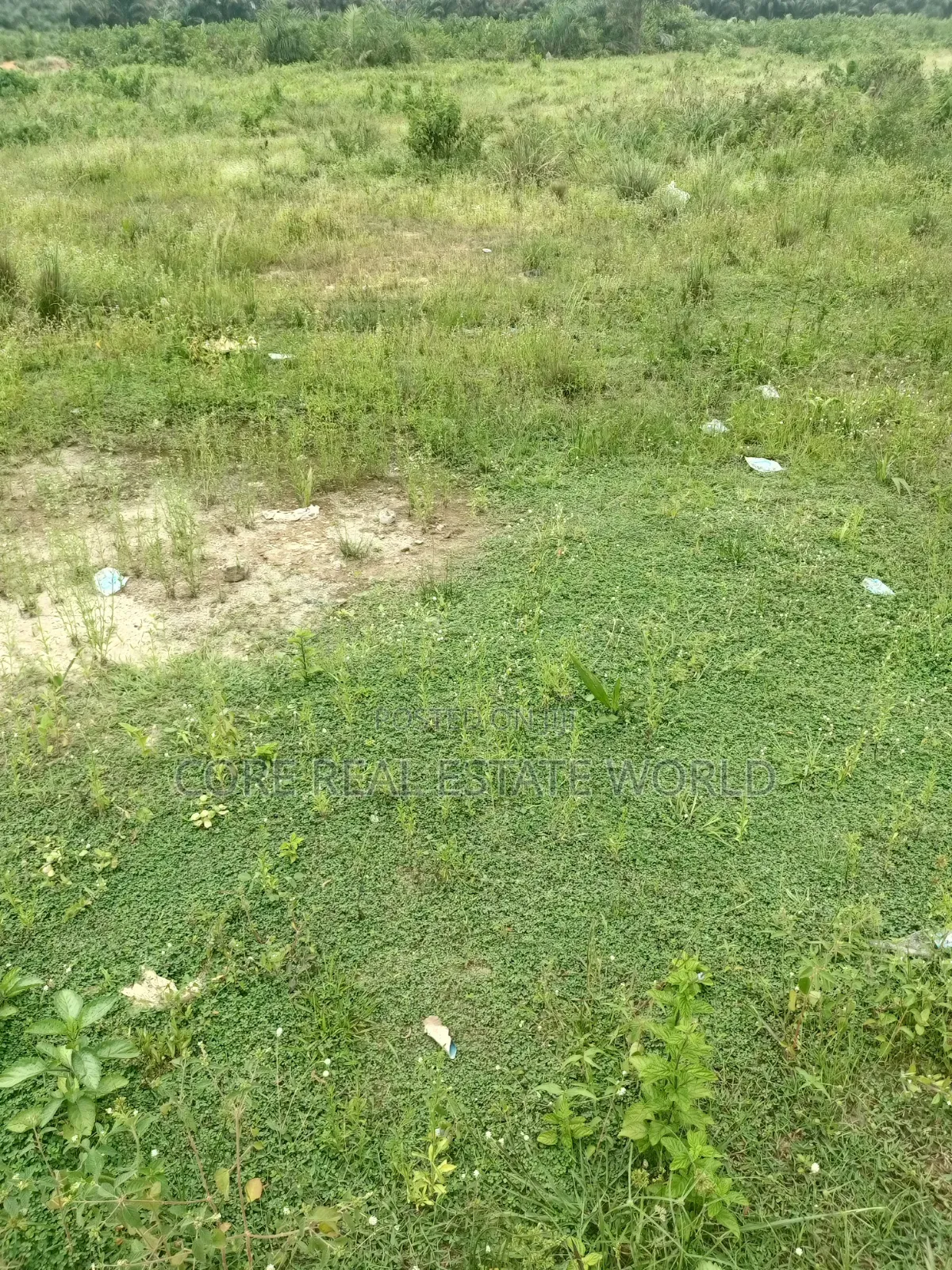 Owudil Kano Genuine Land With Instant Allocation