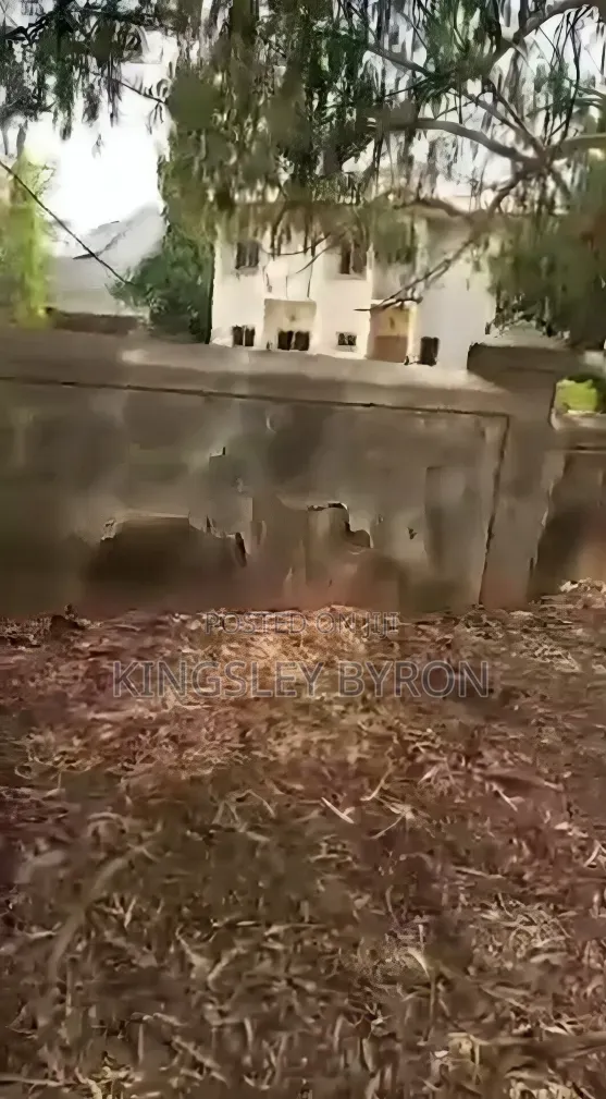 Furnished 10bdrm Duplex in Asokoro for sale