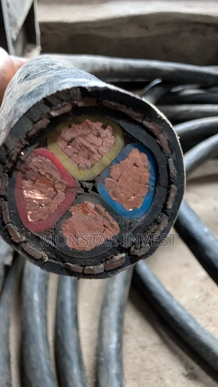 Armored Cable Niger Chin