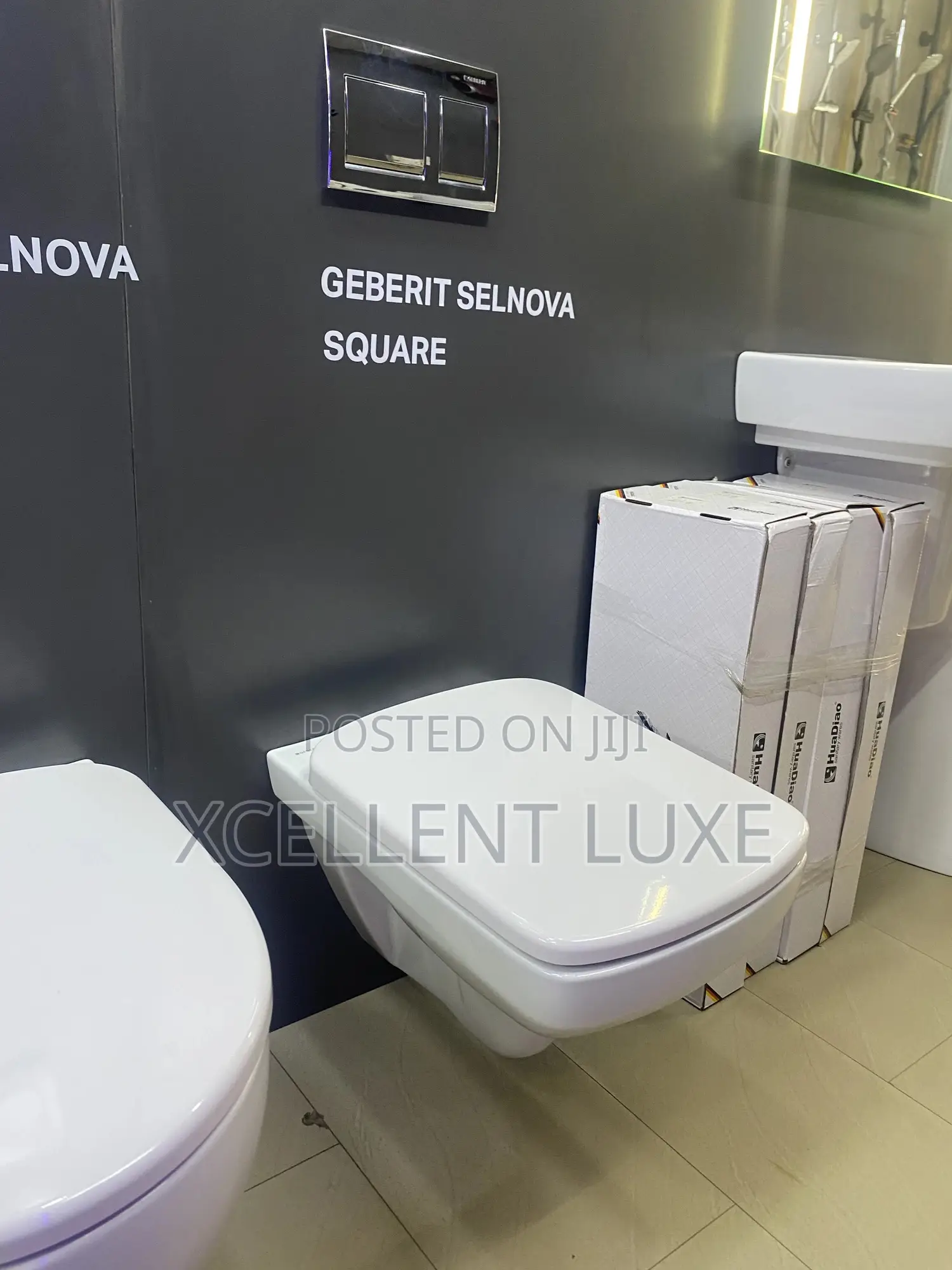 Geberit Conceal Water Closet
