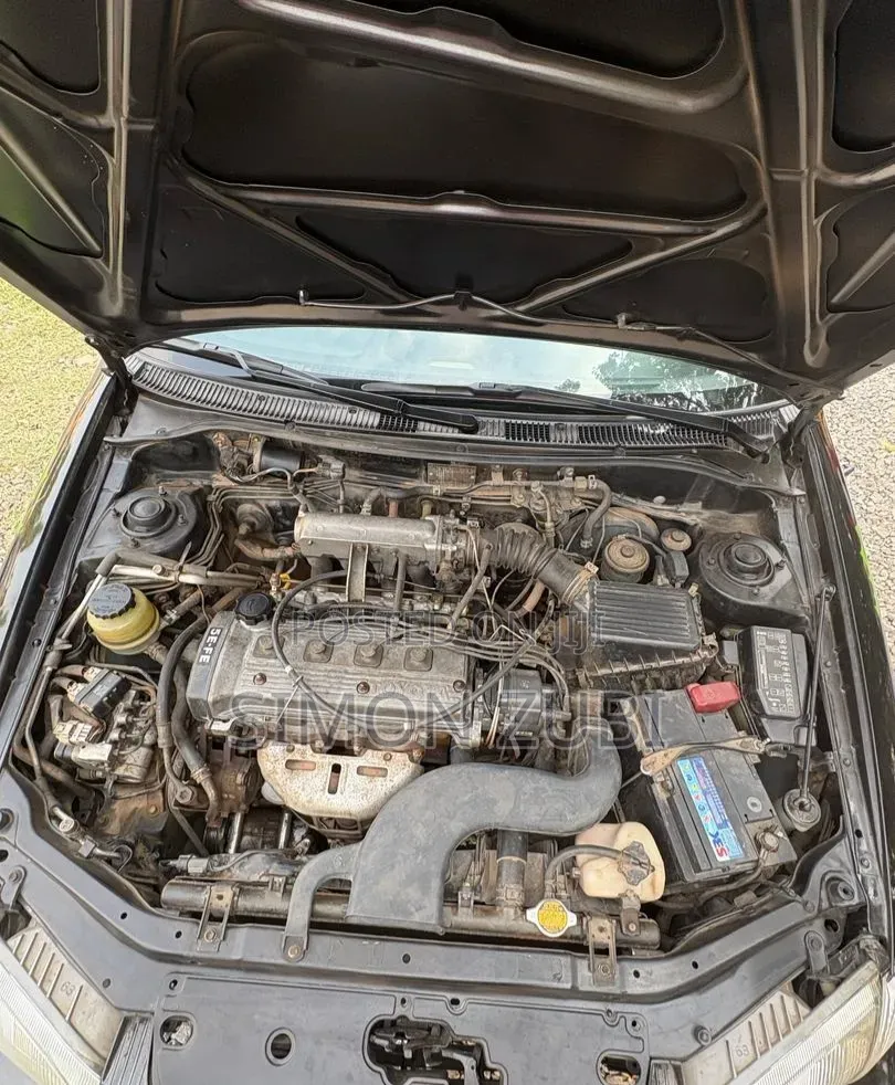 Toyota Paseo 1.5 Coupe 93hp 1999 Gray