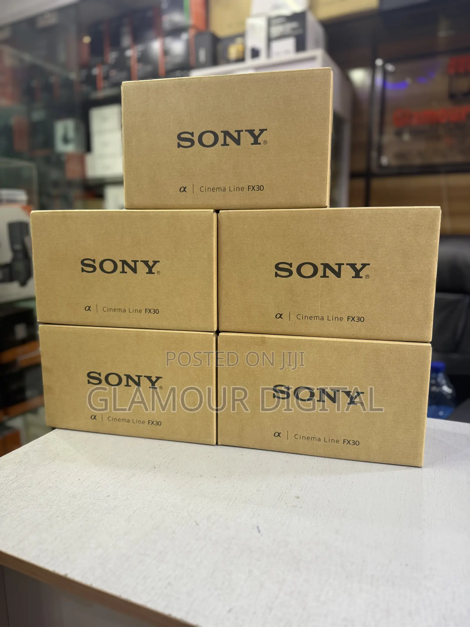 Sony Cinema Line Fx30