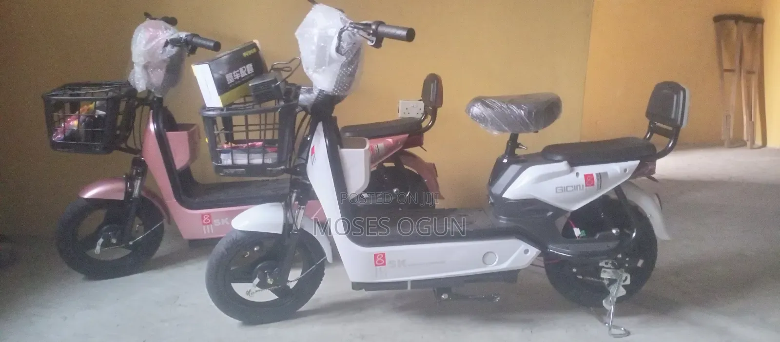 New EGL 2025 White