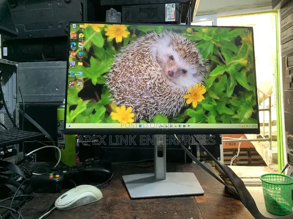24 Inches Dell Professional Ips Frameless Monitor