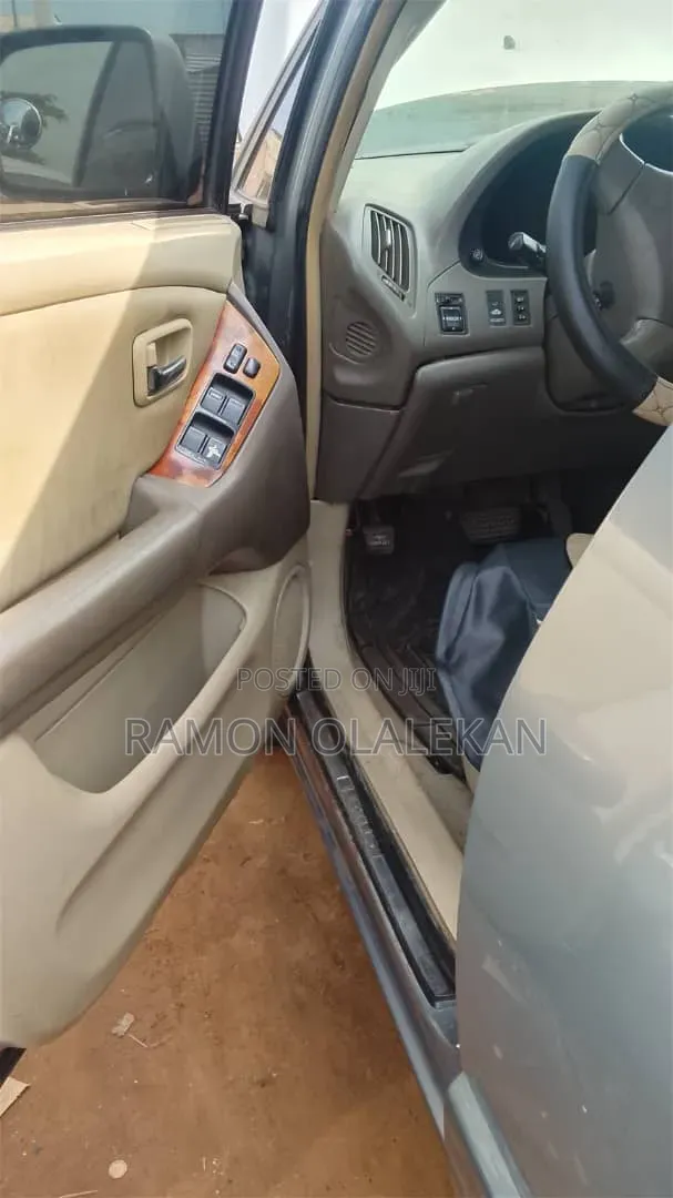 Lexus RX 2007 Gray