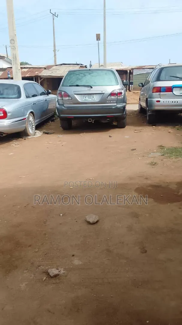 Lexus RX 2007 Gray