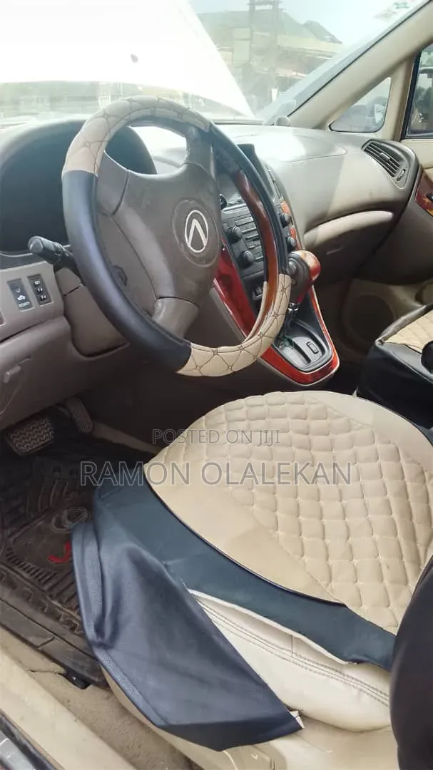 Lexus RX 2007 Gray