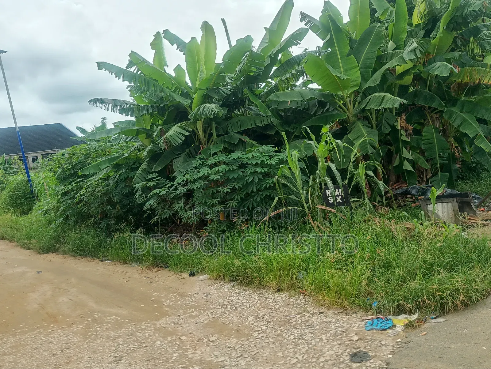 3 Plots of Land