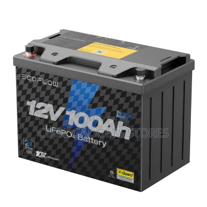 Ecoflow 12v 100ah Lifepo4 Battery, Built-in 100a BMS