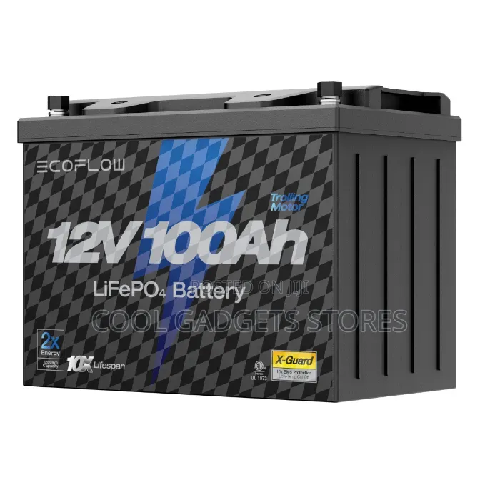 Ecoflow 12v 100ah Lifepo4 Battery, Built-in 100a BMS
