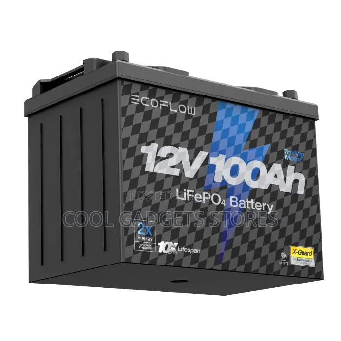 Ecoflow 12v 100ah Lifepo4 Battery, Built-in 100a BMS