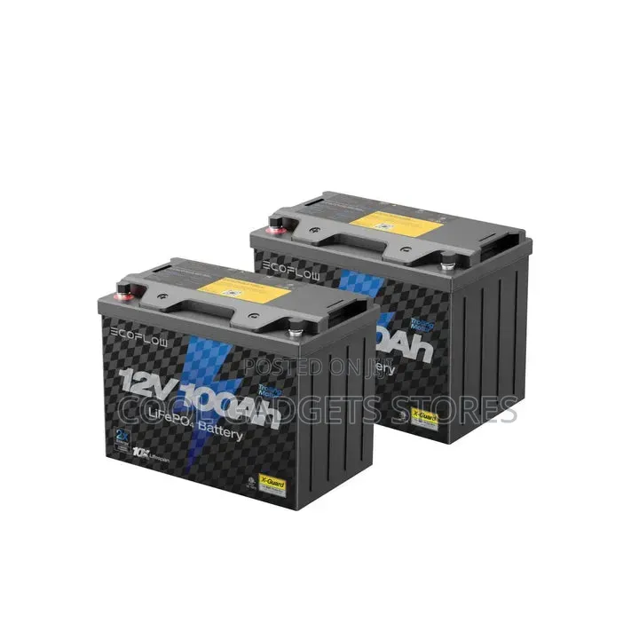 Ecoflow 12v 100ah Lifepo4 Battery, Built-in 100a BMS