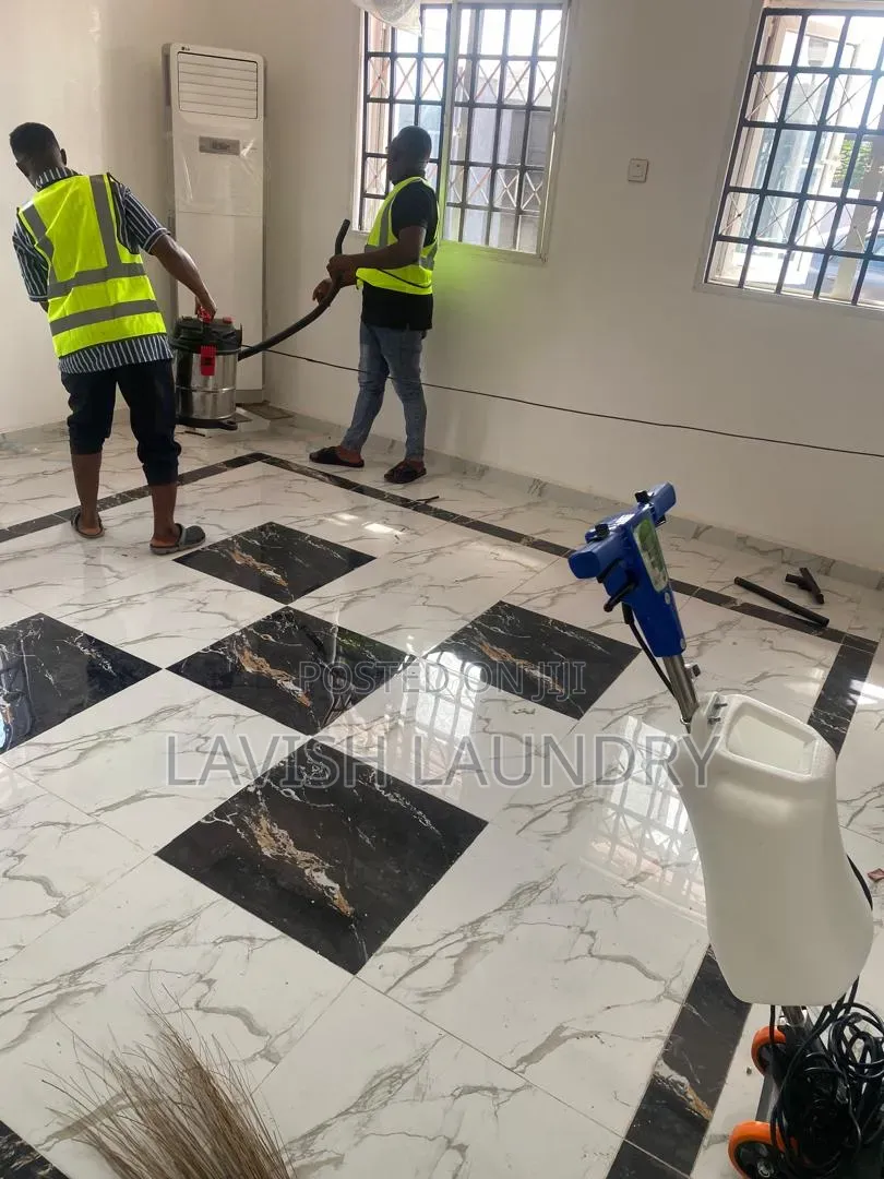 Professional House Cleaning and Dust Removal