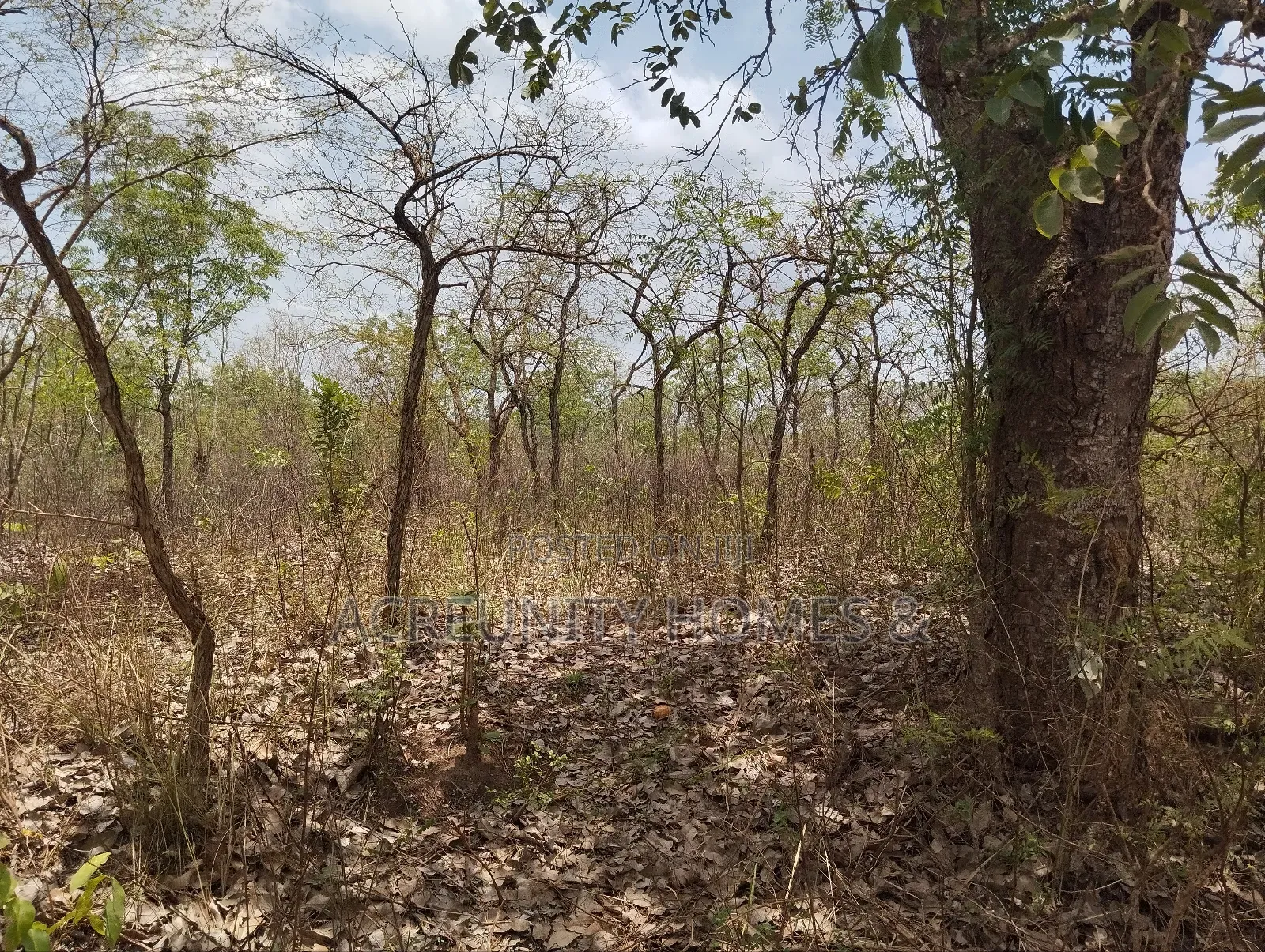 100 Acres of Farmland for Sale at Akinyel Village Abugaga Ikere Iseyin