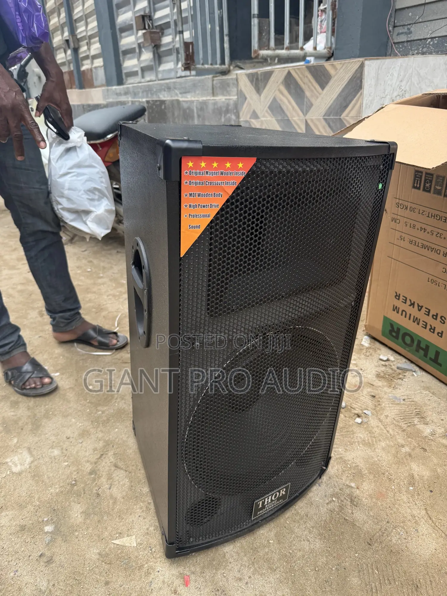 Thor Sound Proffesional Speaker