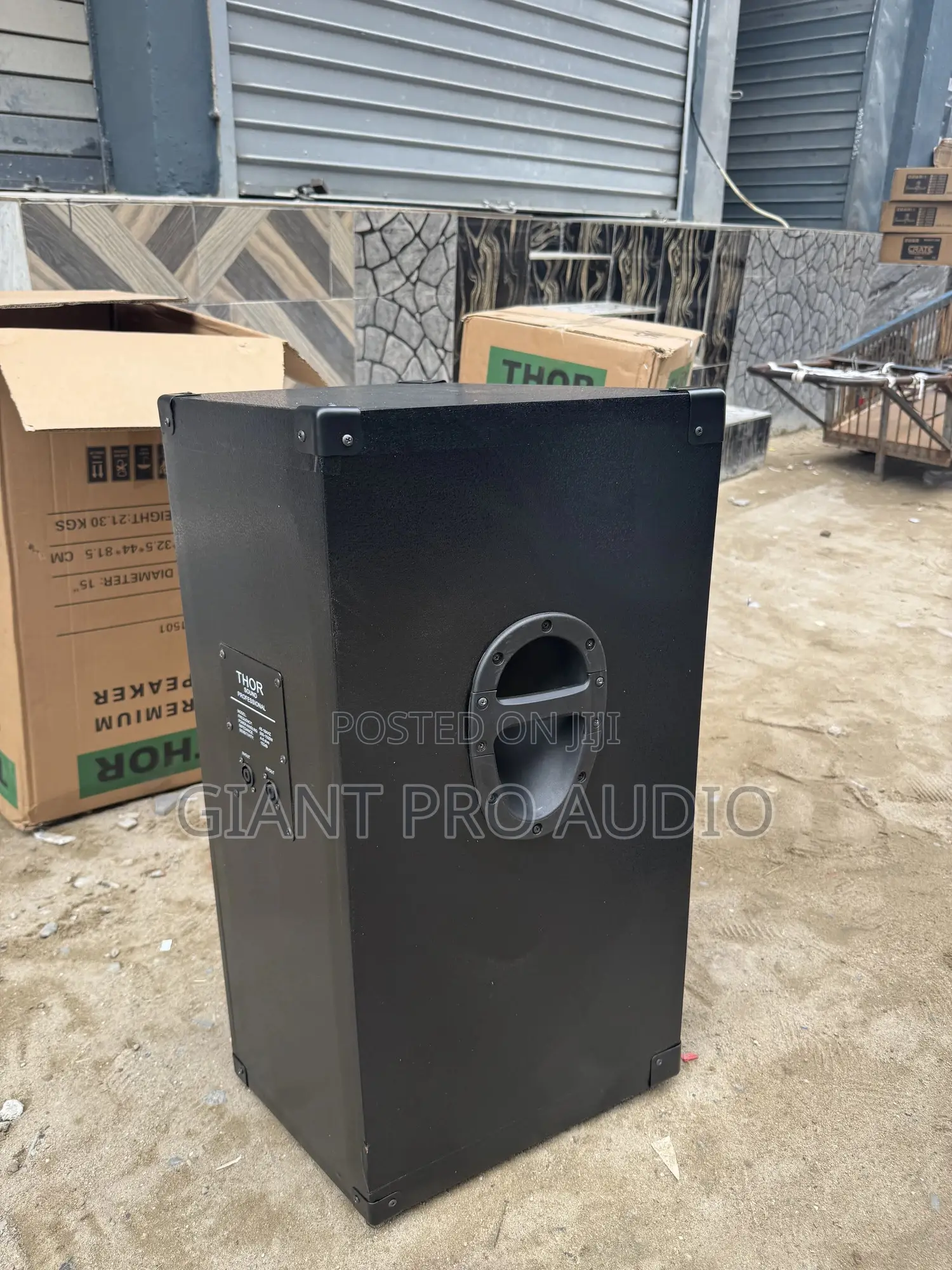 Thor Sound Proffesional Speaker