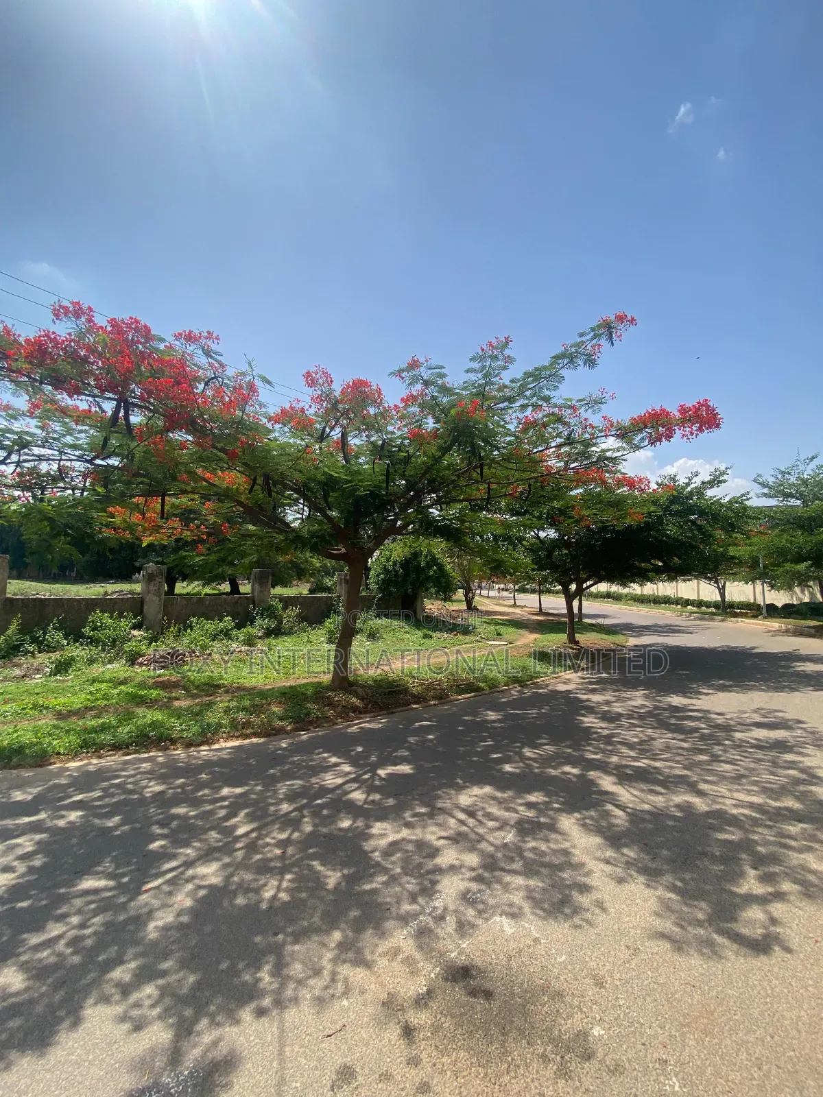 1 Hectare Jabi Commercial Land