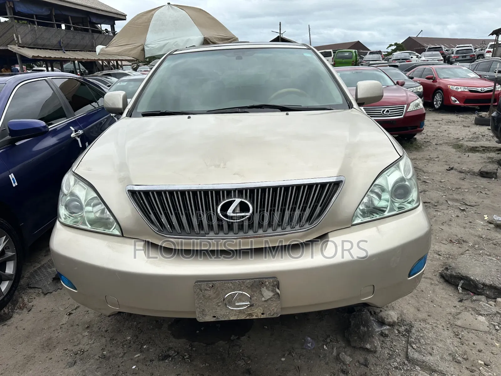 Lexus RX 330 2004 Gold