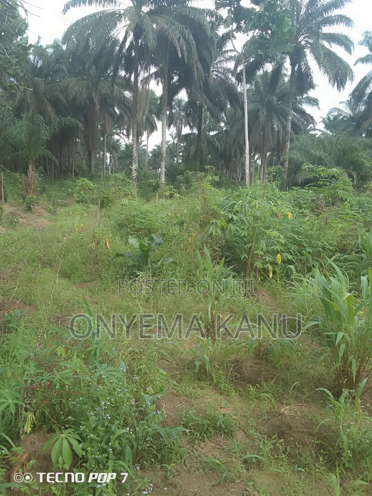 7 Plots at New Layout