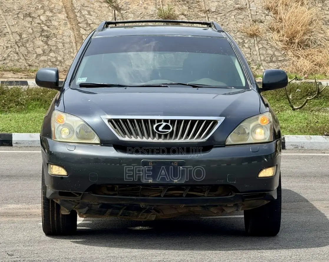 Lexus RX 2008 Blue