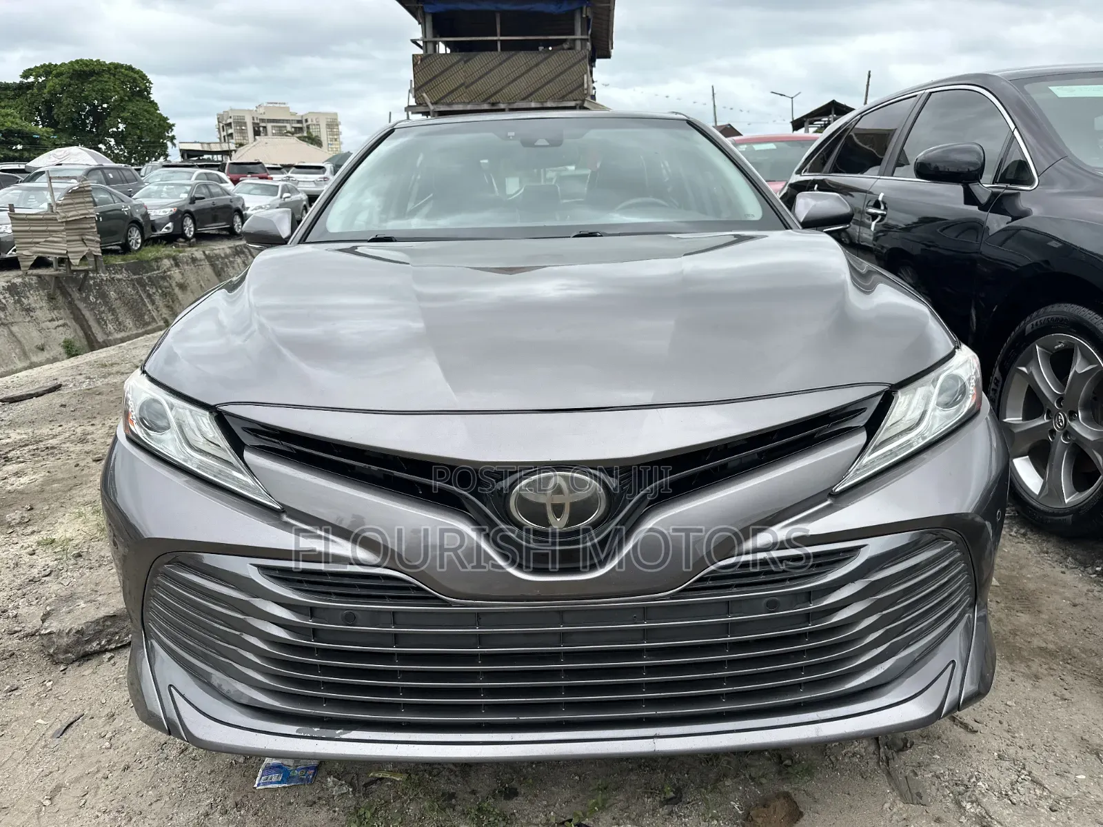Toyota Camry XLE V6 FWD 2020 Gray