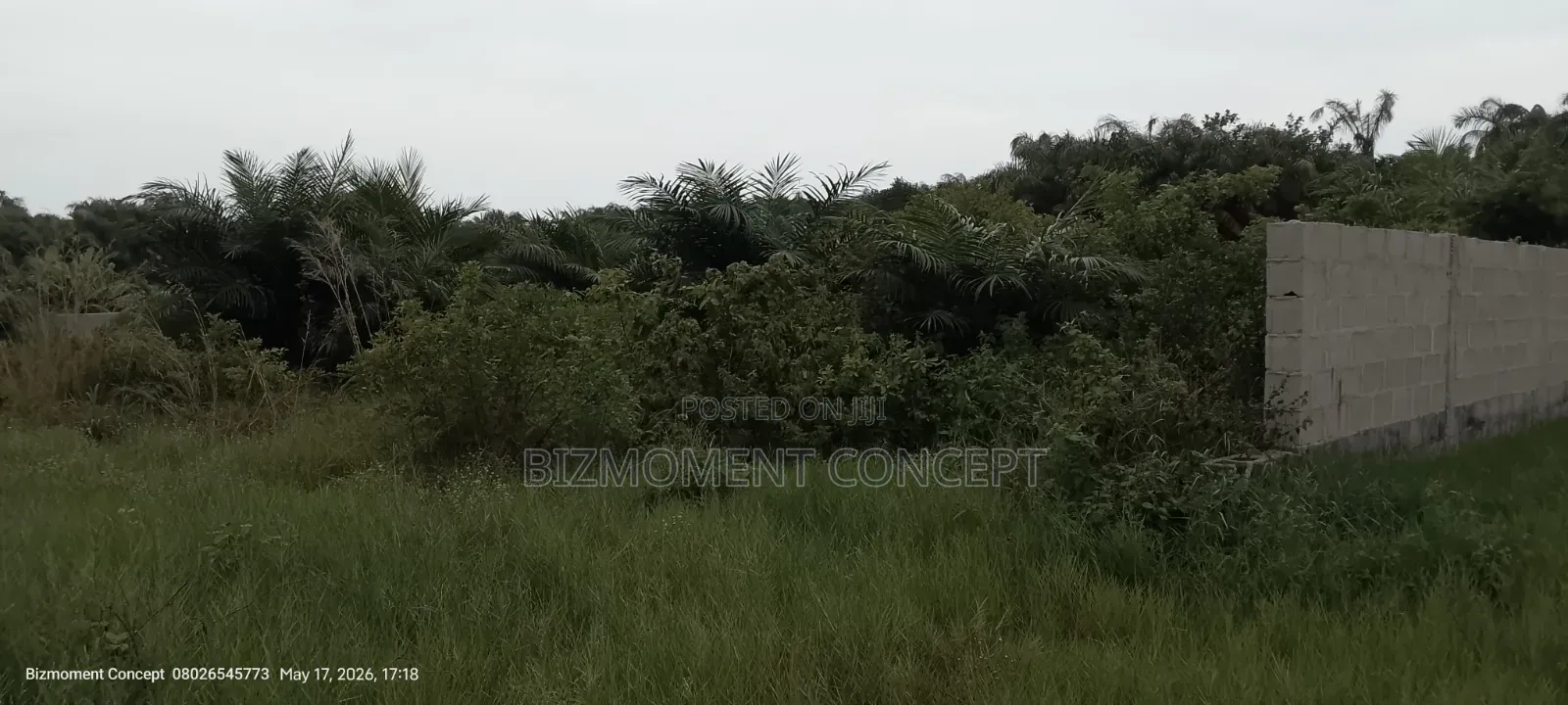 Five and Half Plots of Land for Sale